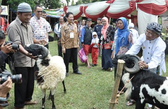 Badan Litbang Pertanian Gelar Bursa Hewan Qurban di Kota Bogor